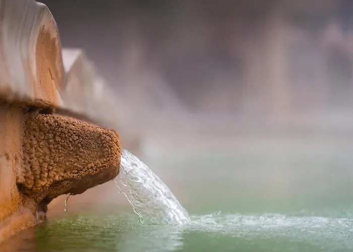 호텔 La Posta & Thermal